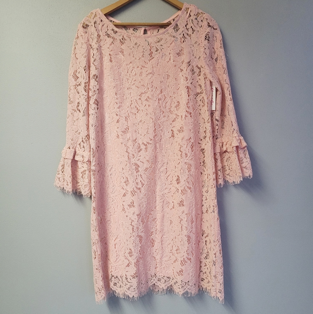 NWT Pink Lilly Blush Pink Lace Dress | Small